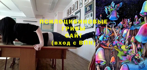 мескалин Бородино