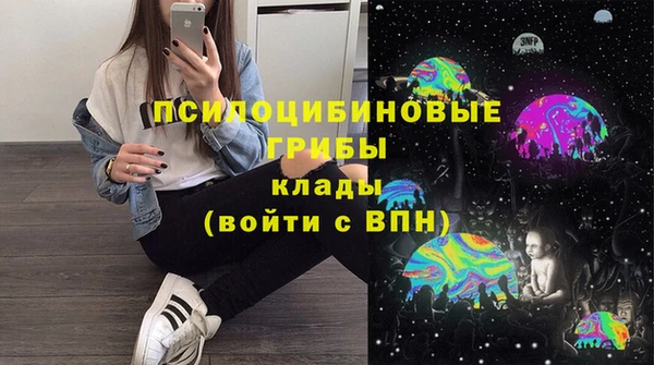 apvp Бугульма
