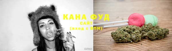 дживик Бронницы