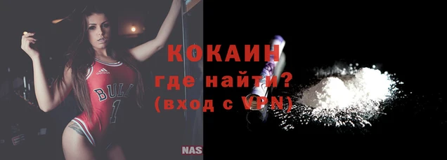 дживик Бронницы