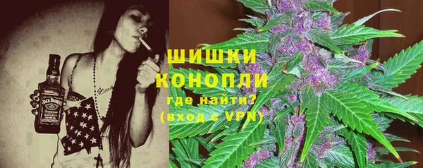 дживик Бронницы