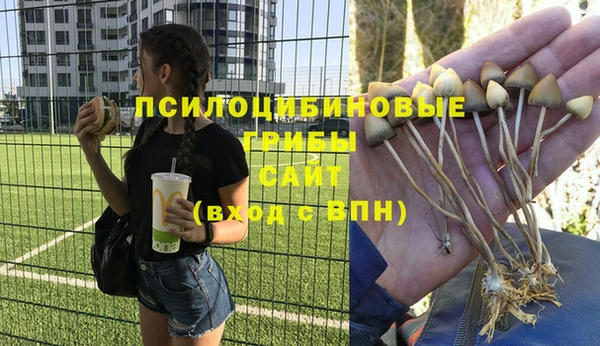 ешки Верхнеуральск
