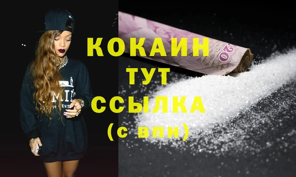 дживик Бронницы