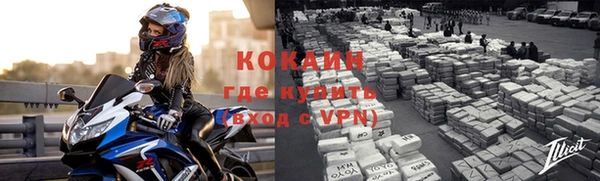 дживик Бронницы